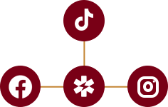 Attract collaborations - MoboTree